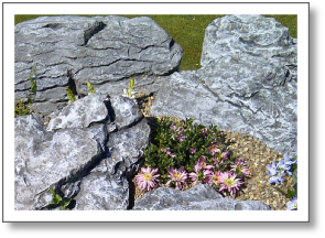 Detail of Westmorland
